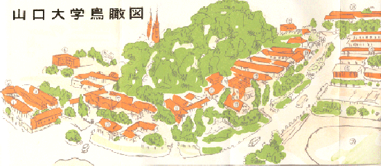 山口大学鳥瞰図