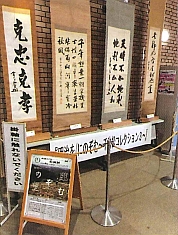 展示品